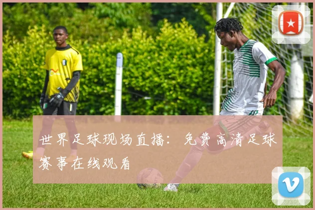世界足球现场直播:免费高清足球赛事在线观看