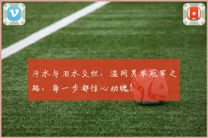 汗水与泪水交织,温网男单冠军之路,每一步都惊心动魄!