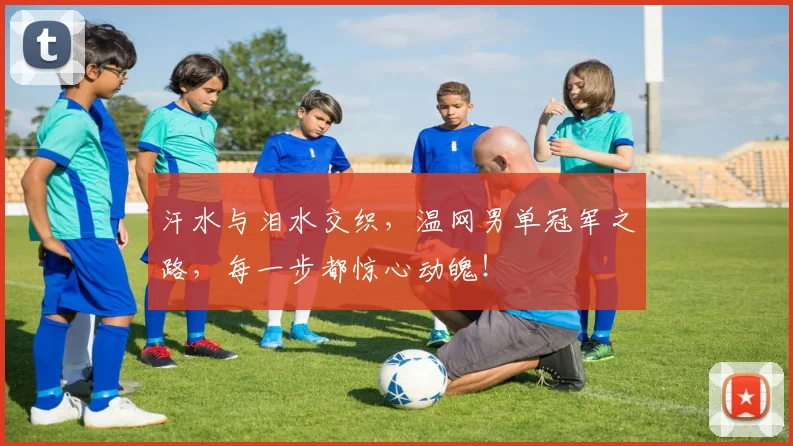 汗水与泪水交织，温网男单冠军之路，每一步都惊心动魄！
